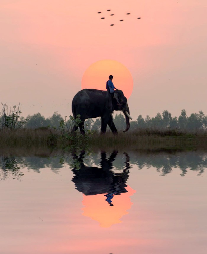 أداة داخلية لشركة سفريات لإدارة القسائم والكوبونات